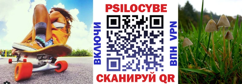где найти наркотики  Комсомольск  Псилоцибиновые грибы Cubensis 